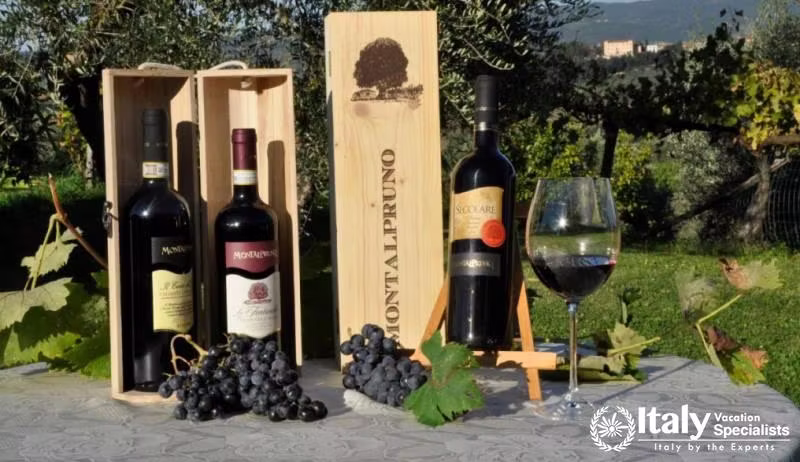 Wines in Azienda Agricola Montalpruno