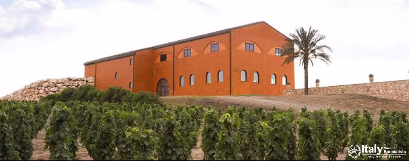 Overview of Tenuta Sette Ponti