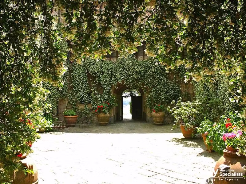 The Castello di Bossi winery is the perfect union between innovation and tradition.