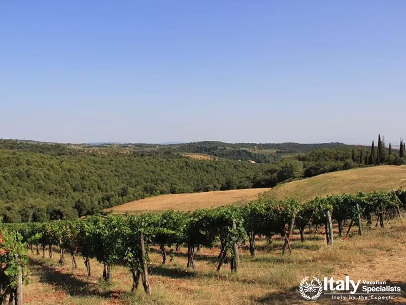 One of the most famous place for wines in Tuscany