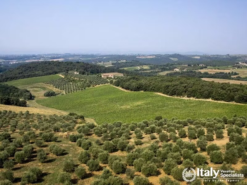 stello di Bossi first planted Cabernet and Merlot about 40 years ago