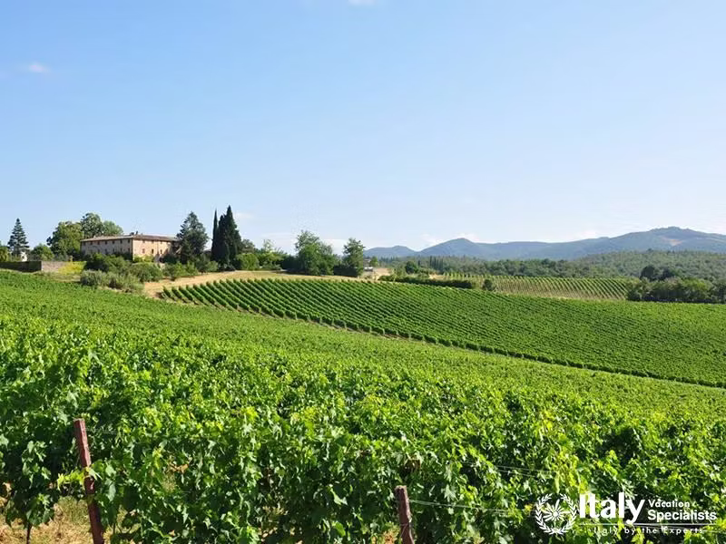 astello di Bossi first planted Cabernet and Merlot about 40 years ago