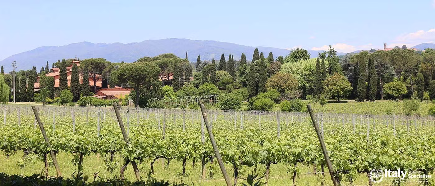 Fattoria del Teso