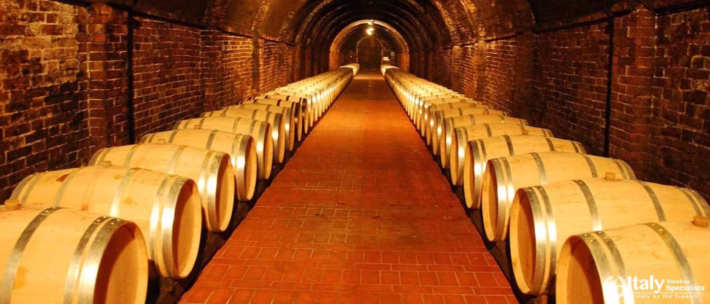 Informative Winery tours ar Avignonesi Tuscany