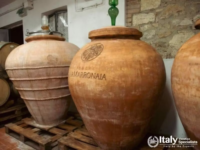 Traditional wine fermentation in clay amphorae