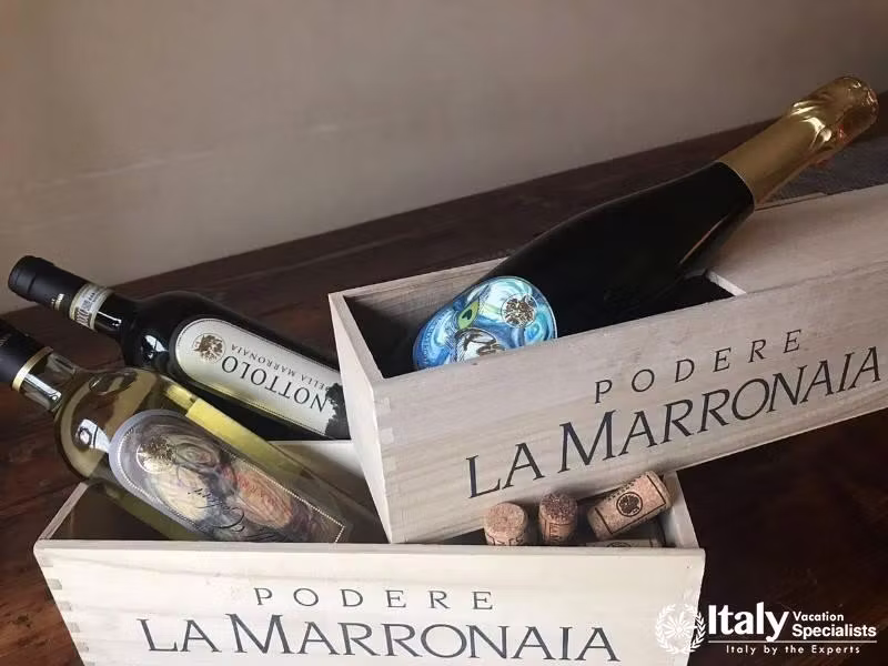 Discover the elegance of wines crafted with tradition and care