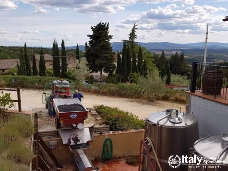 A scenic view of grape processing at SantAgnese Farm with the Tuscan landscape in the background.