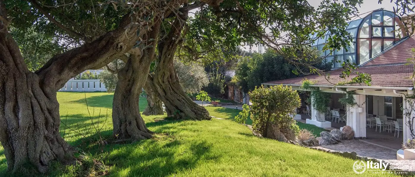 Olive Trees and Garden at Masseria Il Melograno in Monopoli, Italy