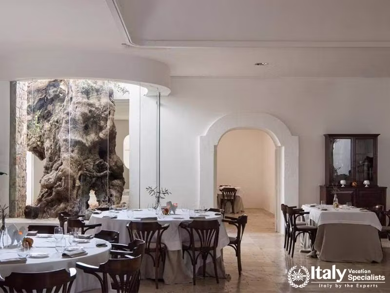 Elegant Dining Area with Olive Tree Interior in Masseria Il Melograno in Monopoli, Italy