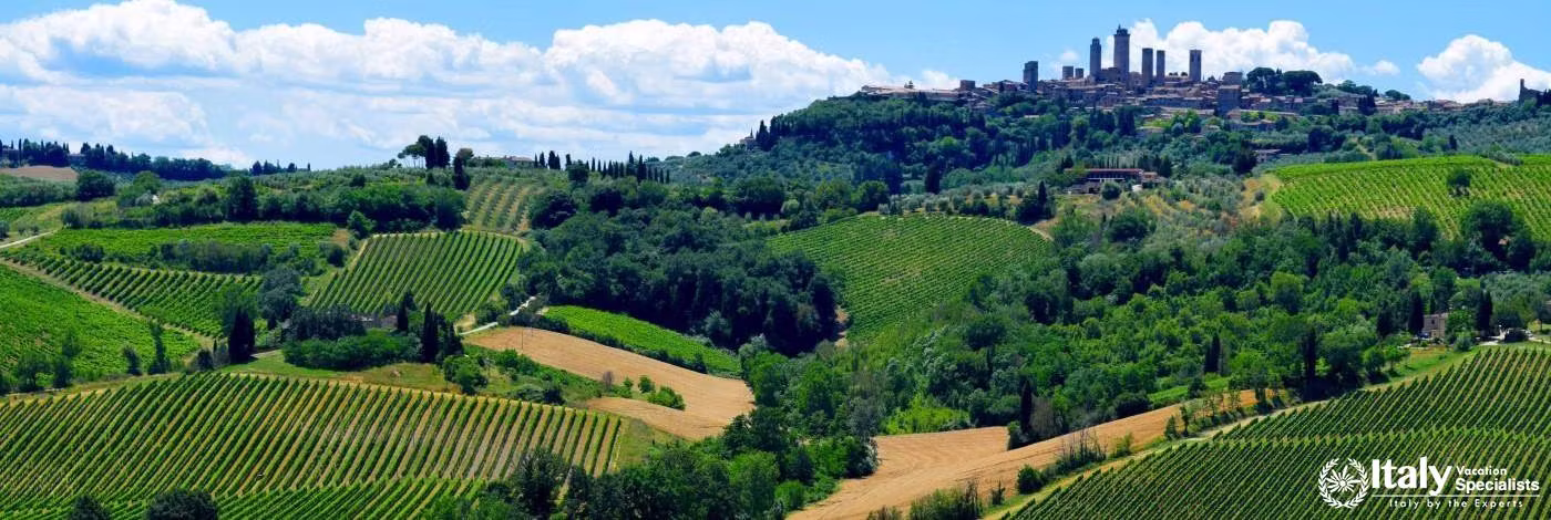 Hill Top Town of San Gimignano 