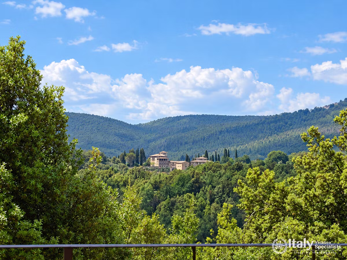Amazing Green Surrounding Around the Villa