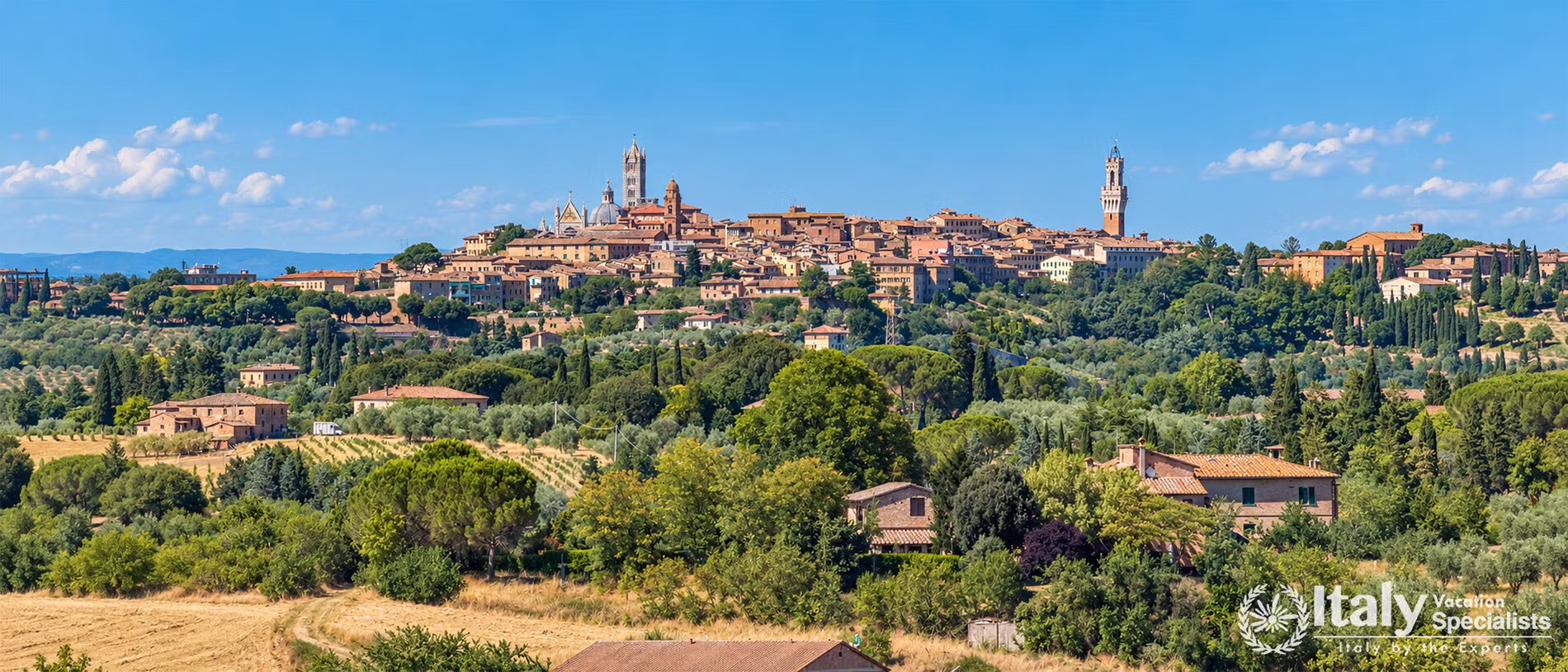 Villa Senavista, FINESTRA SU SIENA 10