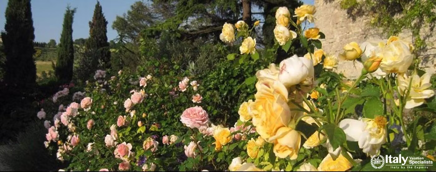 Garden and flowers in Torre Crusca