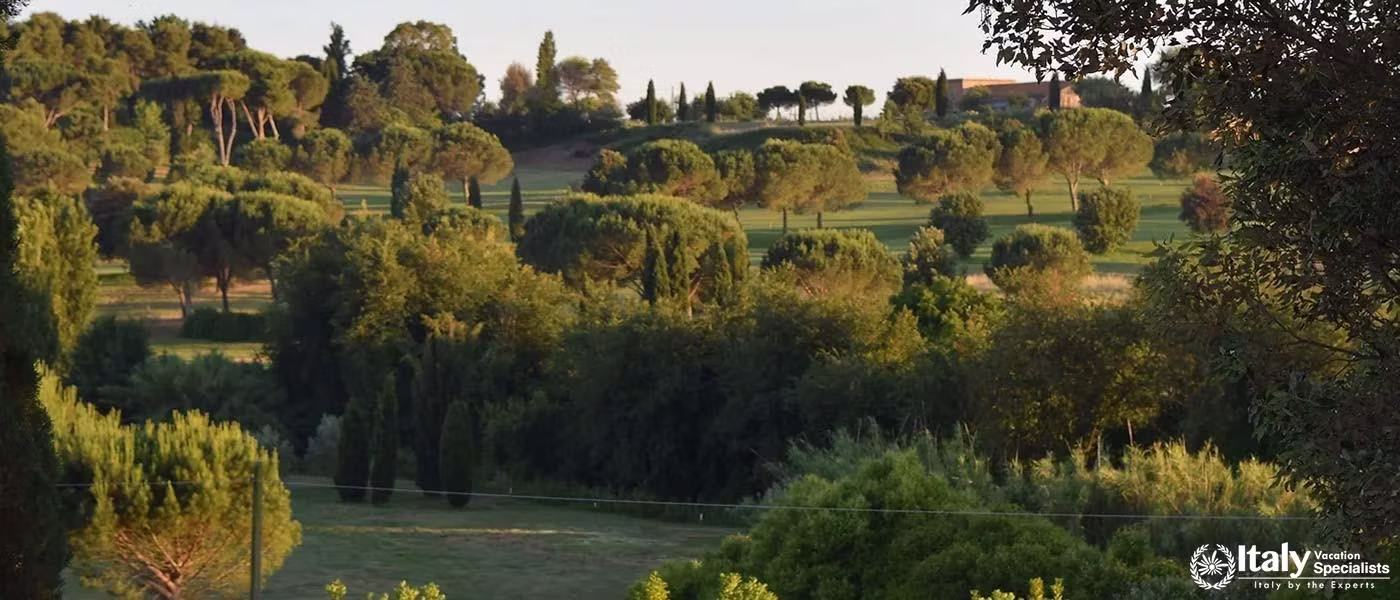 Amazing Garden of Villa Serenity Haven