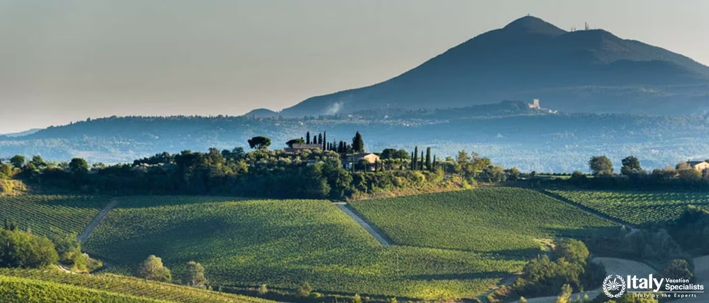 A vineyard beneath a mountain, with a rustic house perched atop a hill overlooking greenry