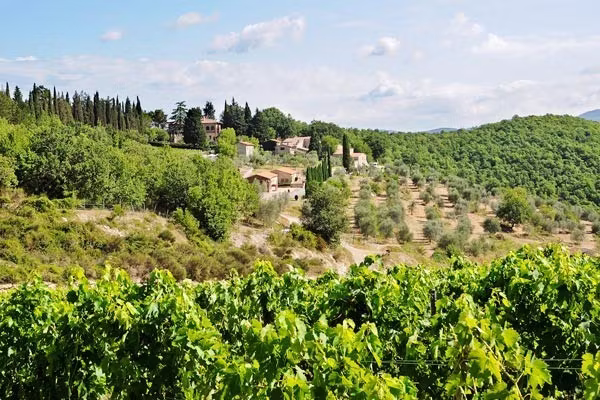 Apartments in Tuscany at Il Querceto 