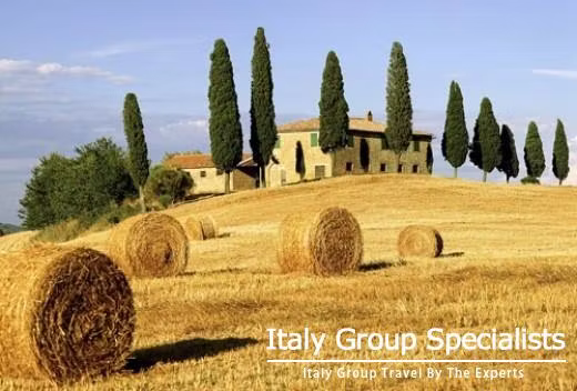 Cypress Trees as seen in the Val DOrcia region, Tuscany 