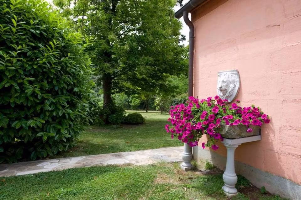garden detail