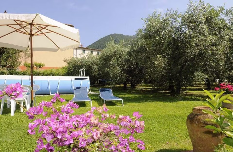 Garden and swimming pool