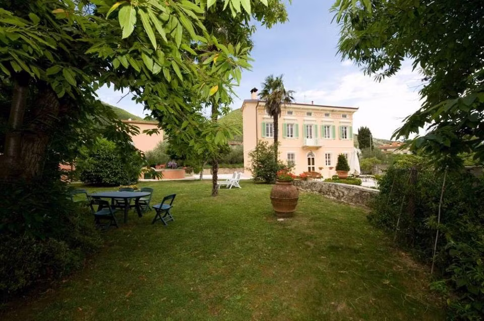 view from the garden
