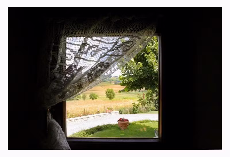 Windows view