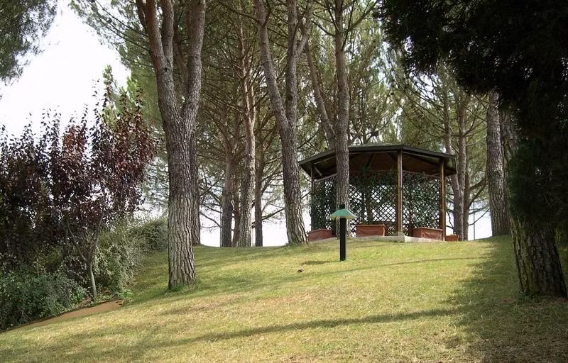 Gazebo for relaxing lectures
