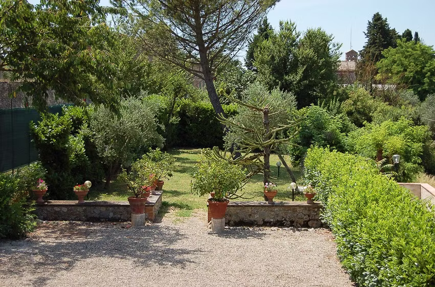 The Garden