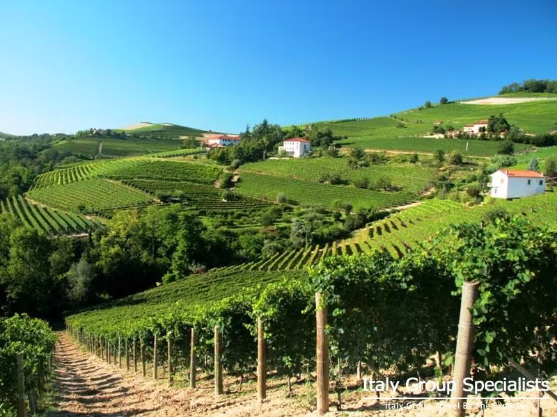 Experience the best of the Langhe