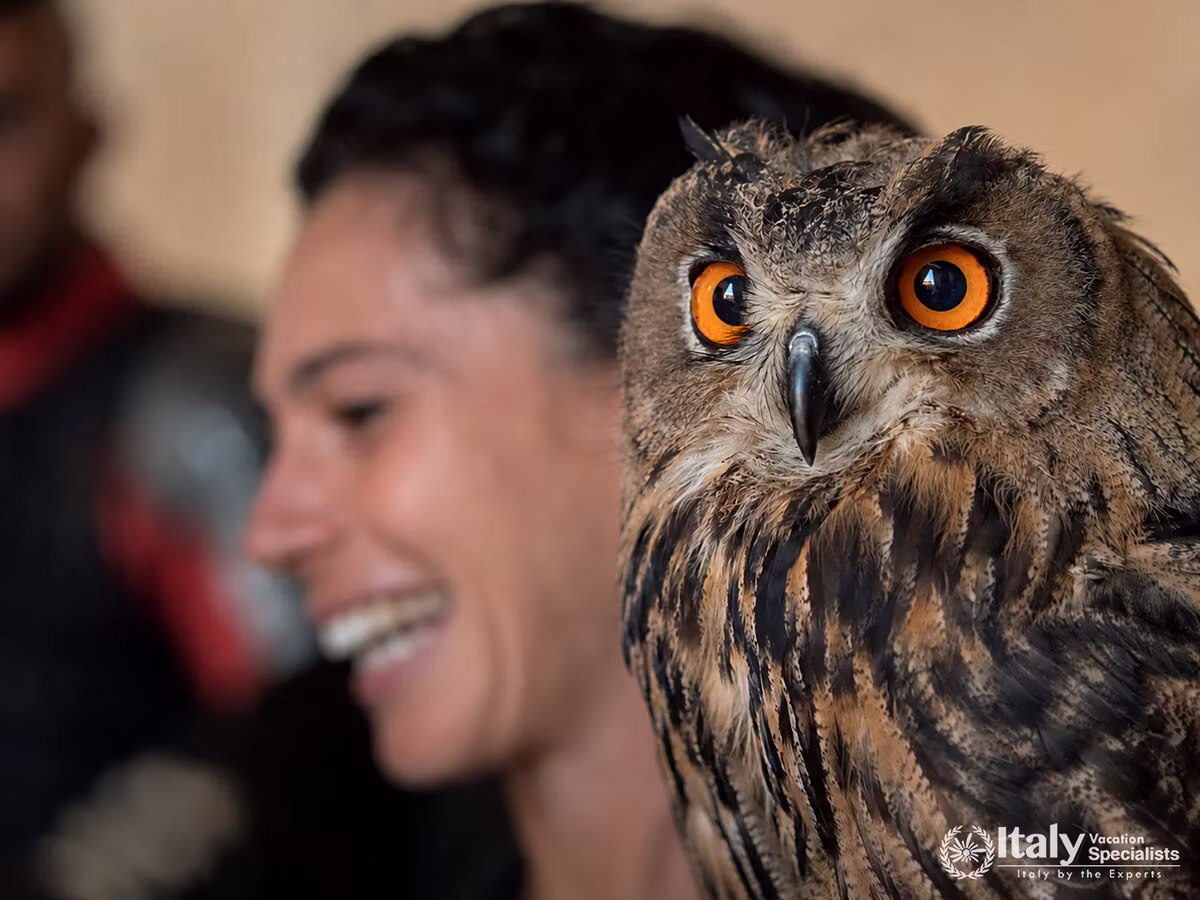 Falconry and Wine Tasting Experience in the Tuscan Countryside