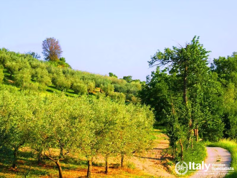 Visiting Local Farms and Estates in Umbria Region Italy 
