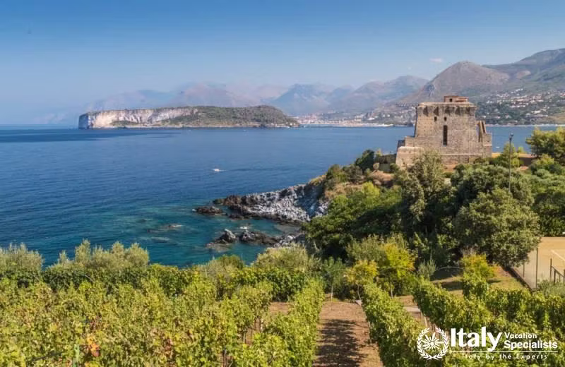 Calabria and the Cedri Riviera Fully Private Escorted Experience including Cooking and Exclusive Dino Island Boat Experience with Local Hosts (Weekly Departures from March 2025 - November 2025)