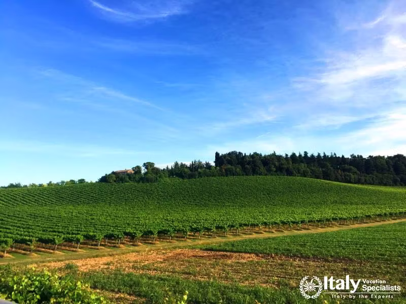 Emiglia Romagna Wine and Food Tours