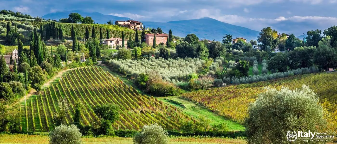 Absolute Italy including Tuscany and Wine Tasting 