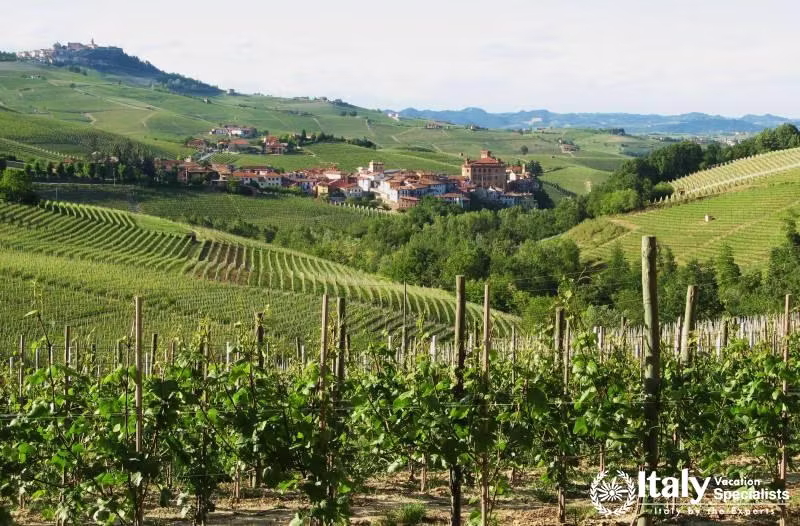 Private Barolo Wine Tour