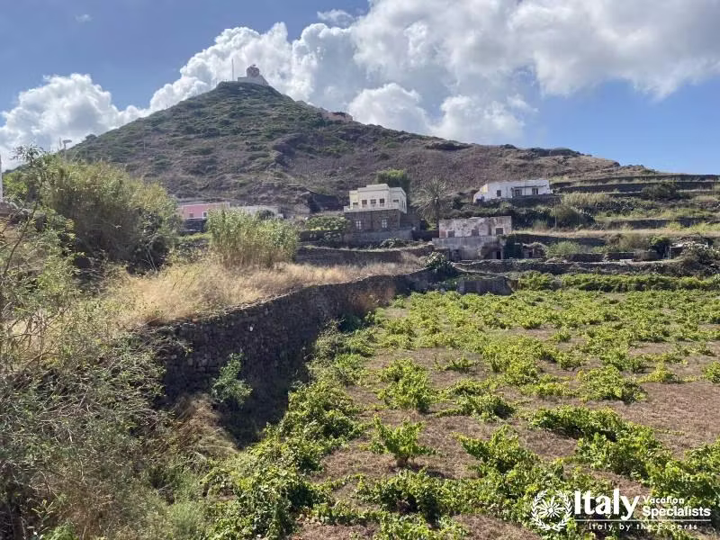 Pantelleria 