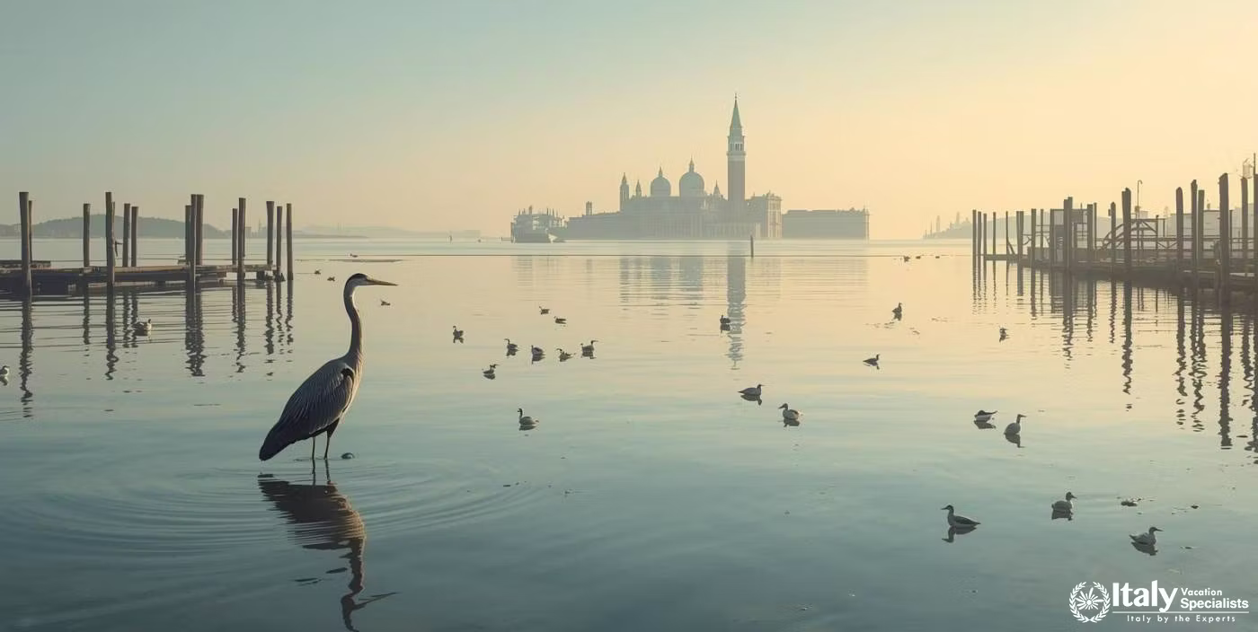Bird watching Venice, Italy 