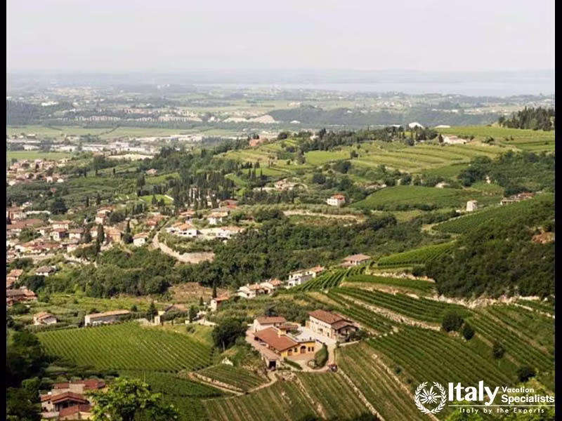 Private Guided Valpolicella E-Bike Tour with Lunch at the Winery private tour in Veneto Italy with local guide