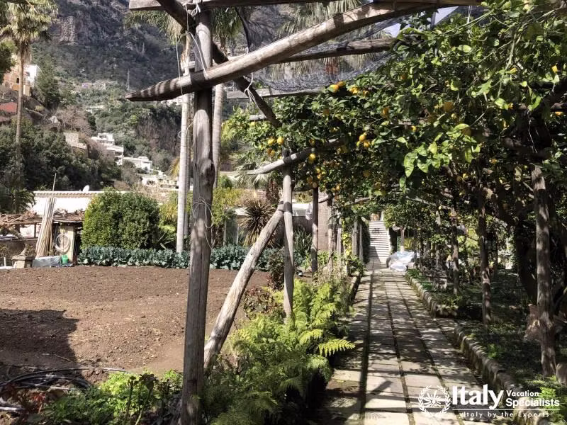 Local Cooking Experience Amalfi Coast