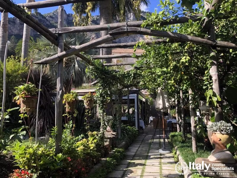 Experience Cooking in Garden on Amalfi Coast 