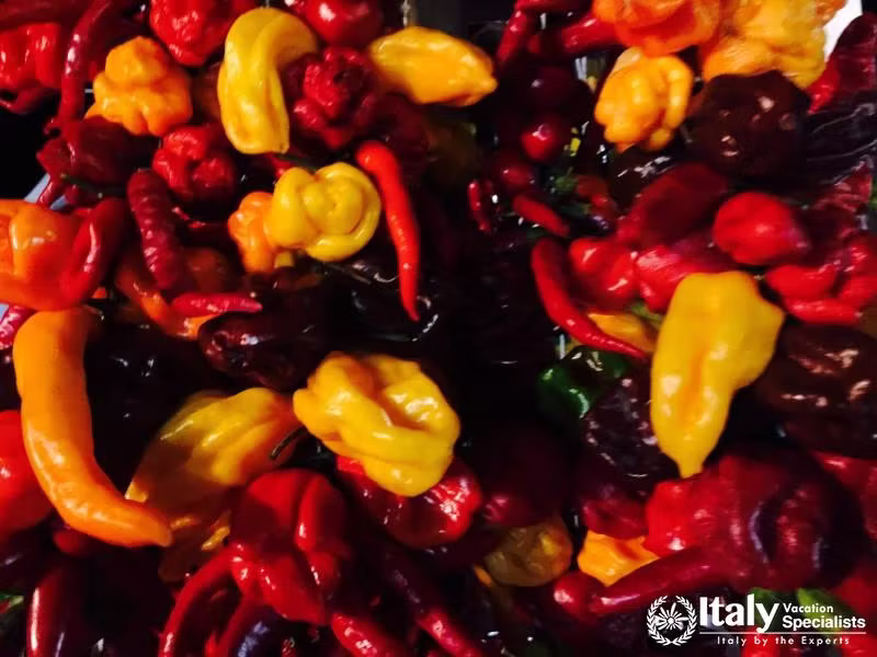 Calabria Food and Wine Tour