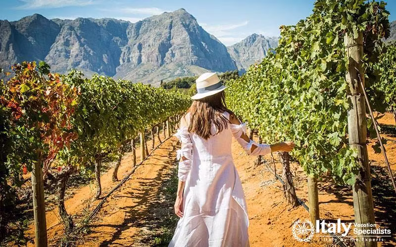Discover the Best of Northern Italy 