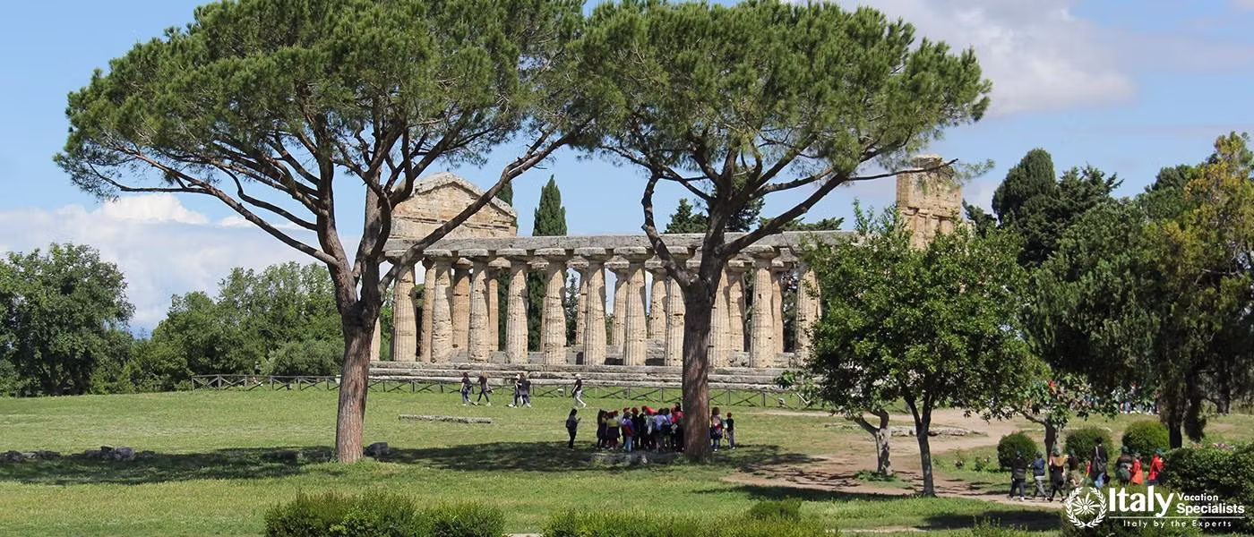 Private Tour of Paestum and the Cilento Coast with lunch at Mozzarella di Buffala farm