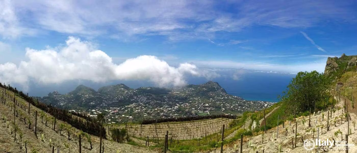 Amalfi Coast Campania Italy Wine Tour