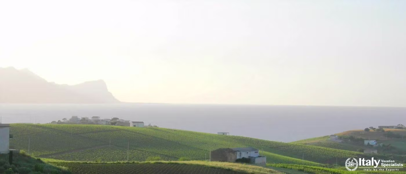Sicily Wine Experience 