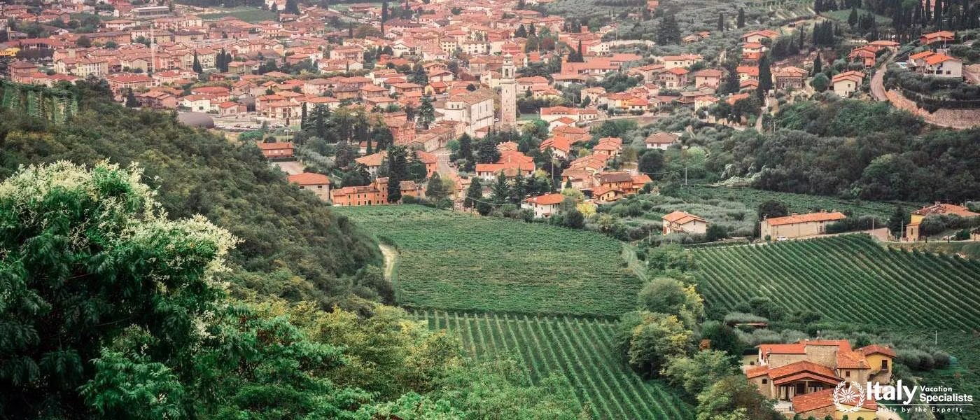 Valpolicella + Amarone Wine Tour from Venice