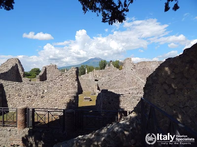 Pompeii, Italy looking at Mt Vesuvius with a possible UFO just below the leaves in the picture. Is i
