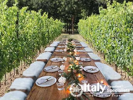 San Gimignano Wine Experience