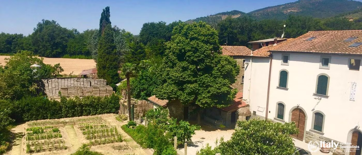 The Vendemmia: Tuscany Wine Harvest