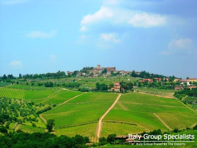 Vineyards near Castellina in Chianti - Photo by Jesse Andrews