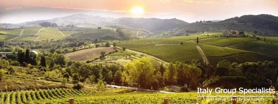 Vineyards as Seen from Castellina in Chianti 